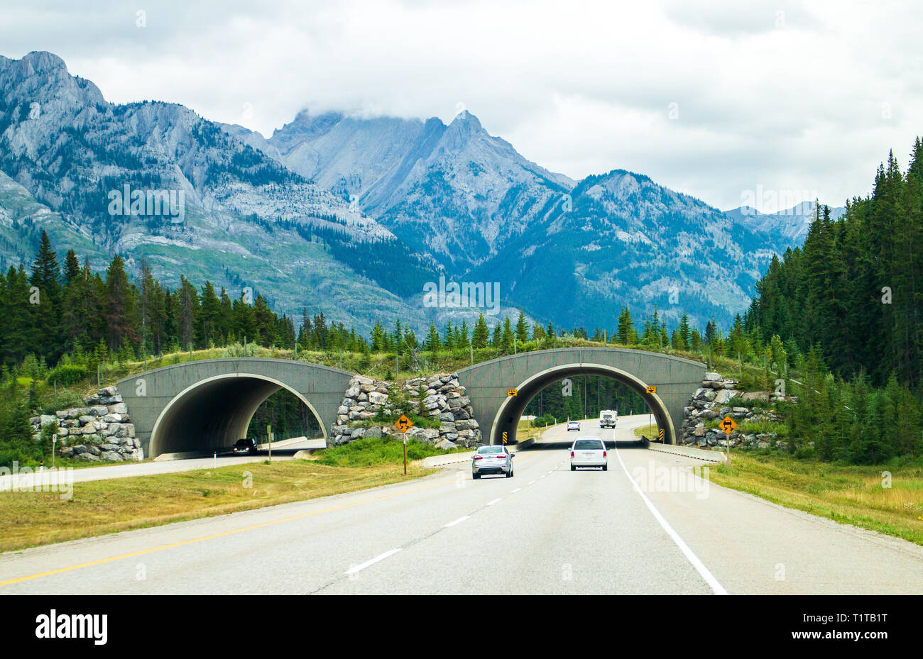 Ponti natura attraverso l'autostrada uno British Columbia Foto Stock