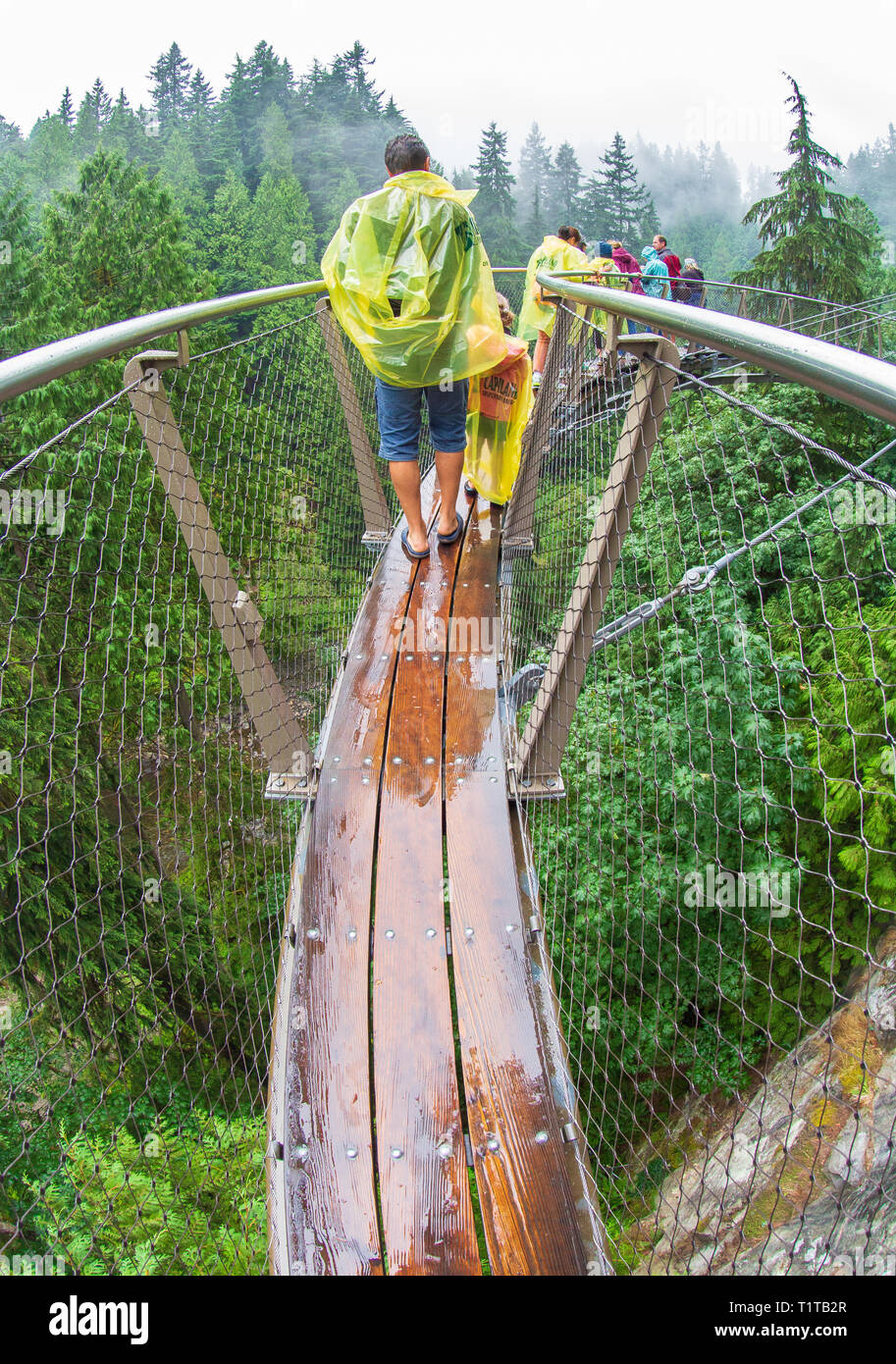 Ponte Sospeso di Capilano Park Foto Stock
