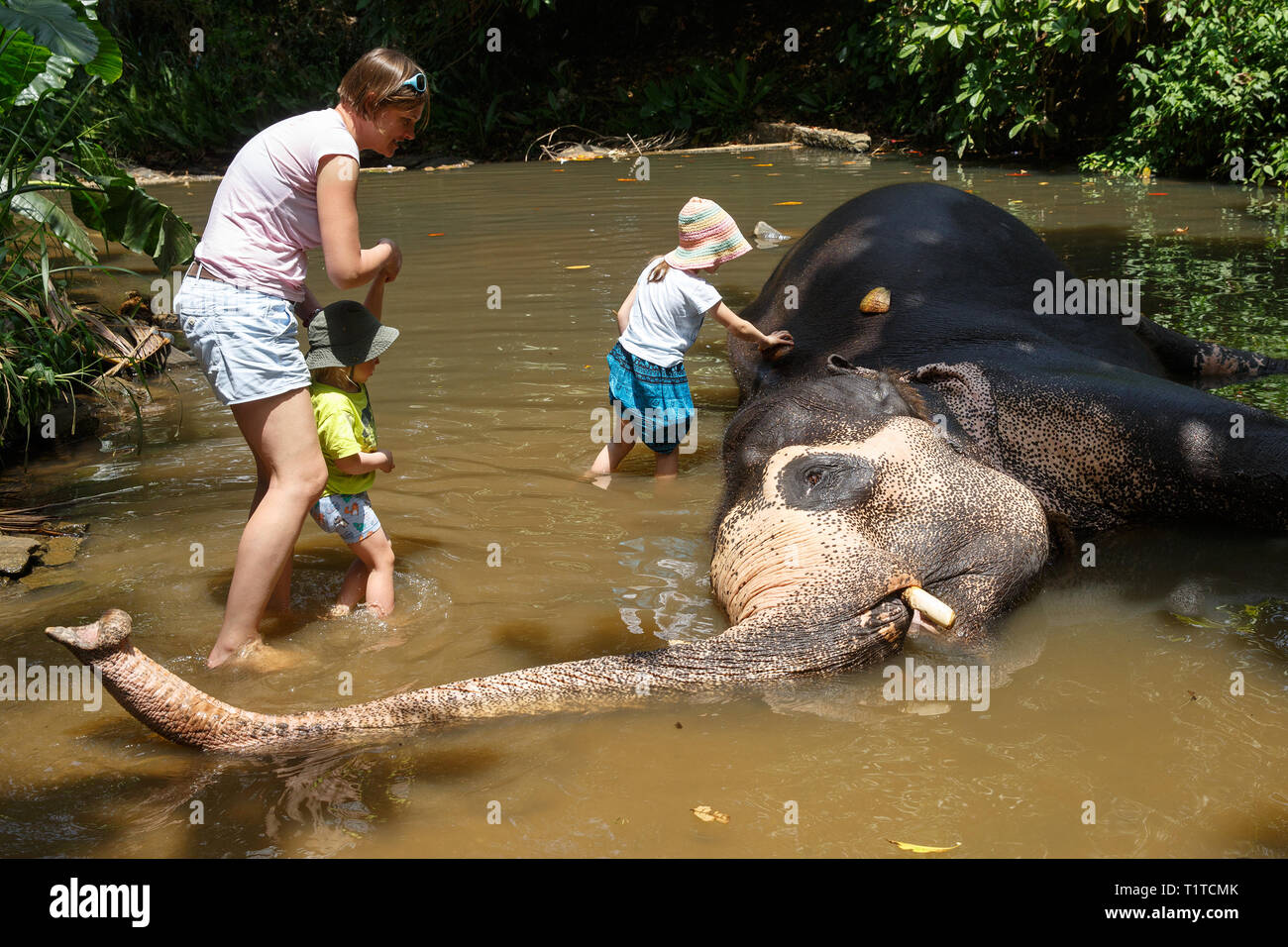 Madre con i bambini che accarezzano elefante asiatico in cattività, incatenato, abusati per attrarre turisti. I diritti degli animali, animale abuso, trappola per turisti, viaggi Foto Stock