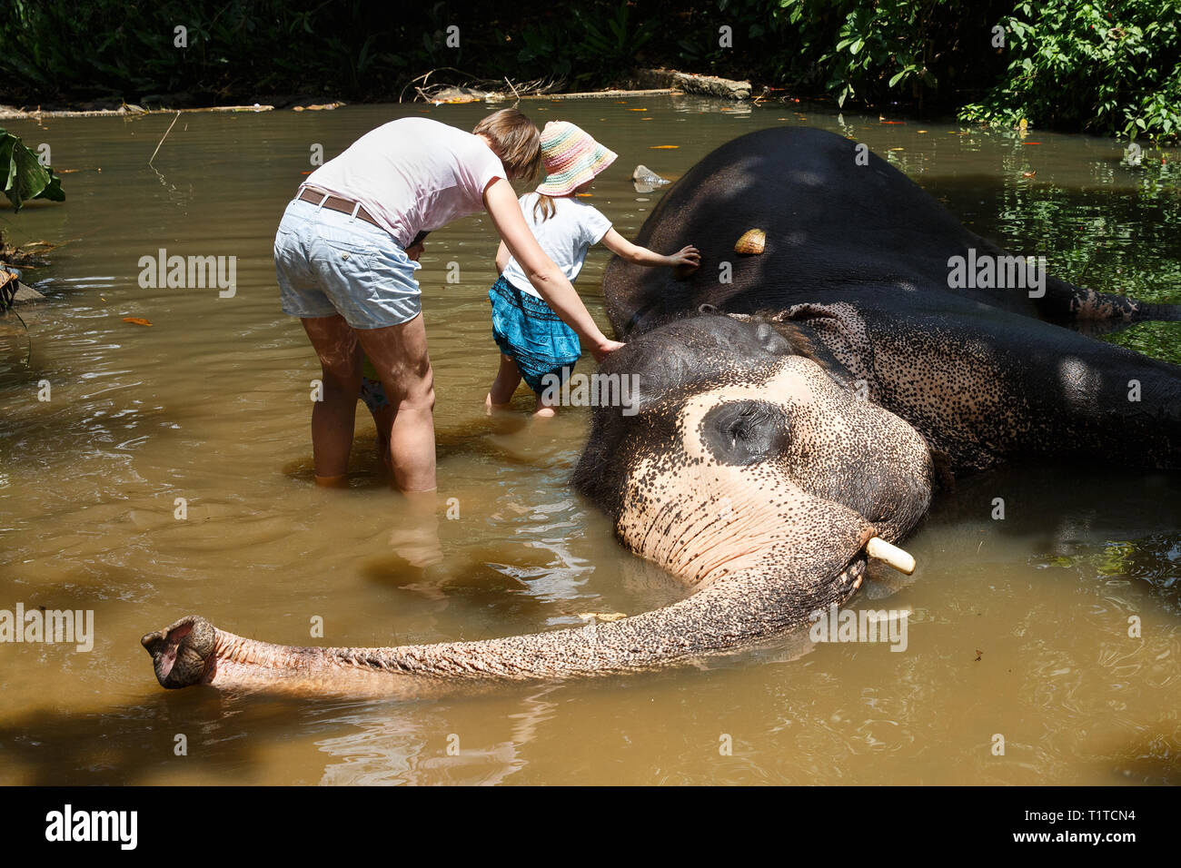Madre con i bambini che accarezzano elefante asiatico in cattività, incatenato, abusati per attrarre turisti. I diritti degli animali, animale abuso, trappola per turisti, viaggi Foto Stock