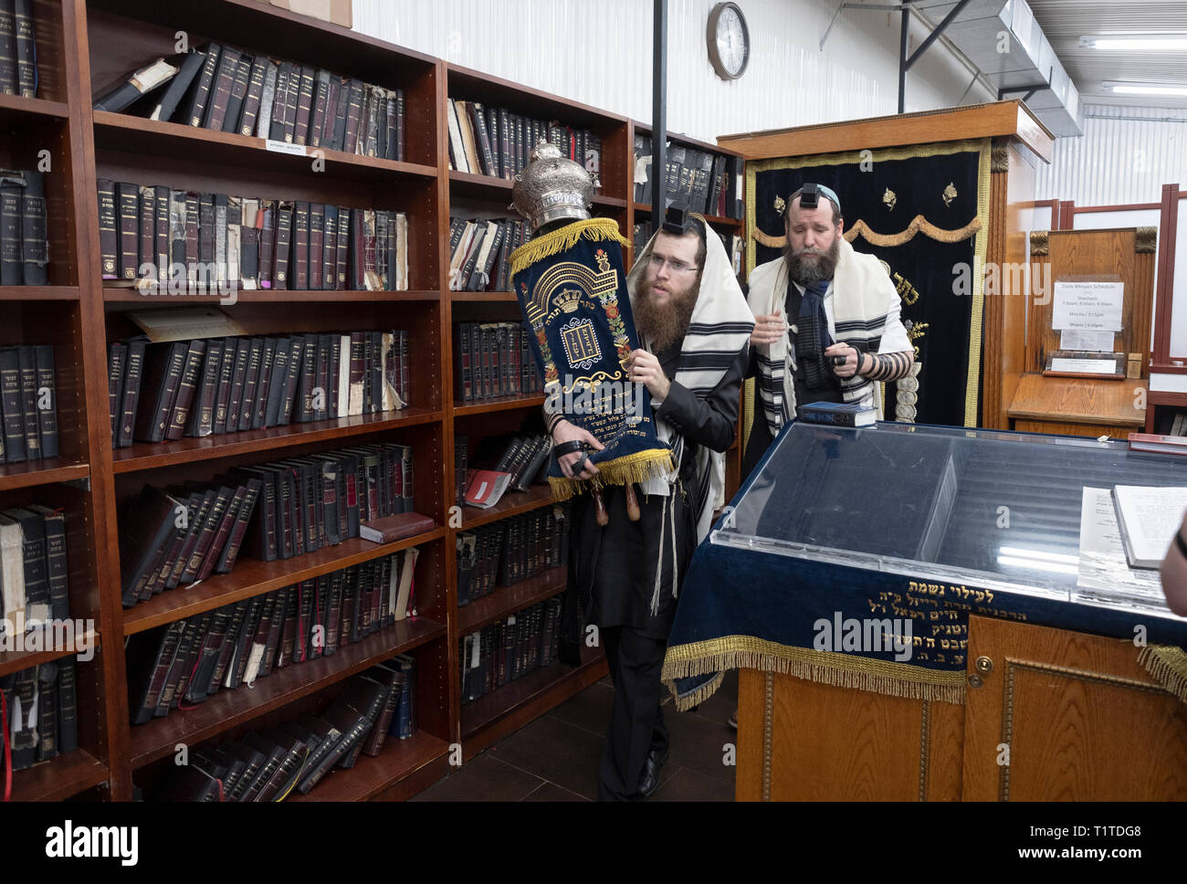 Ebrea ortodossa uomini spostare un rotolo di Torah dall'arca santa il luogo in cui esso verrà letta. In corrispondenza di una sinagoga nel Queens, a New York City. Foto Stock