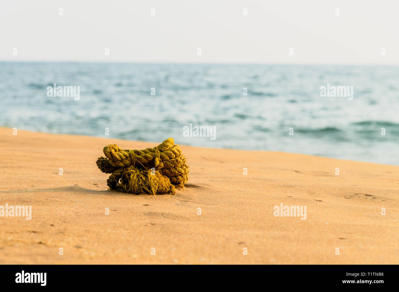 Corda gigante in spiaggia sabbiosa Foto Stock