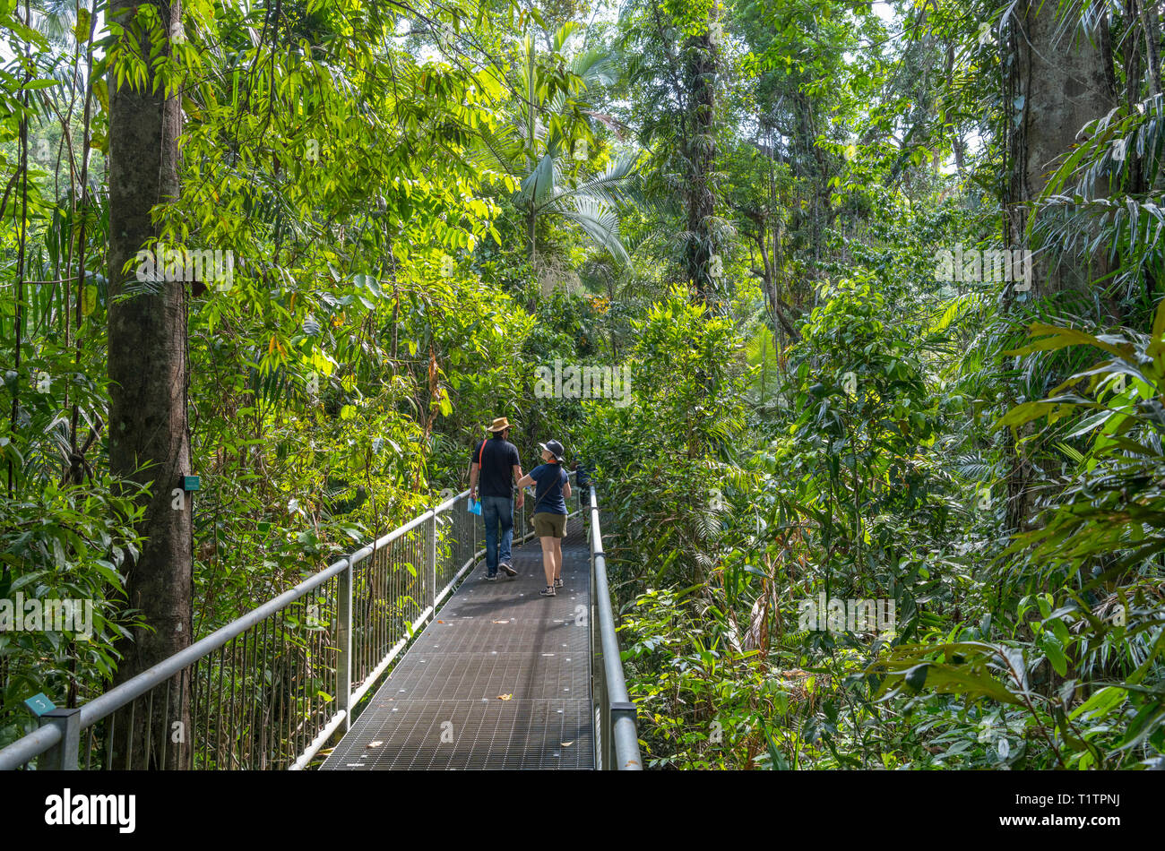 Daintree, Queensland. Visitatori sul lungomare nel centro di scoperta, la foresta pluviale di Daintree, Parco Nazionale Daintree, Queensland, Australia Foto Stock