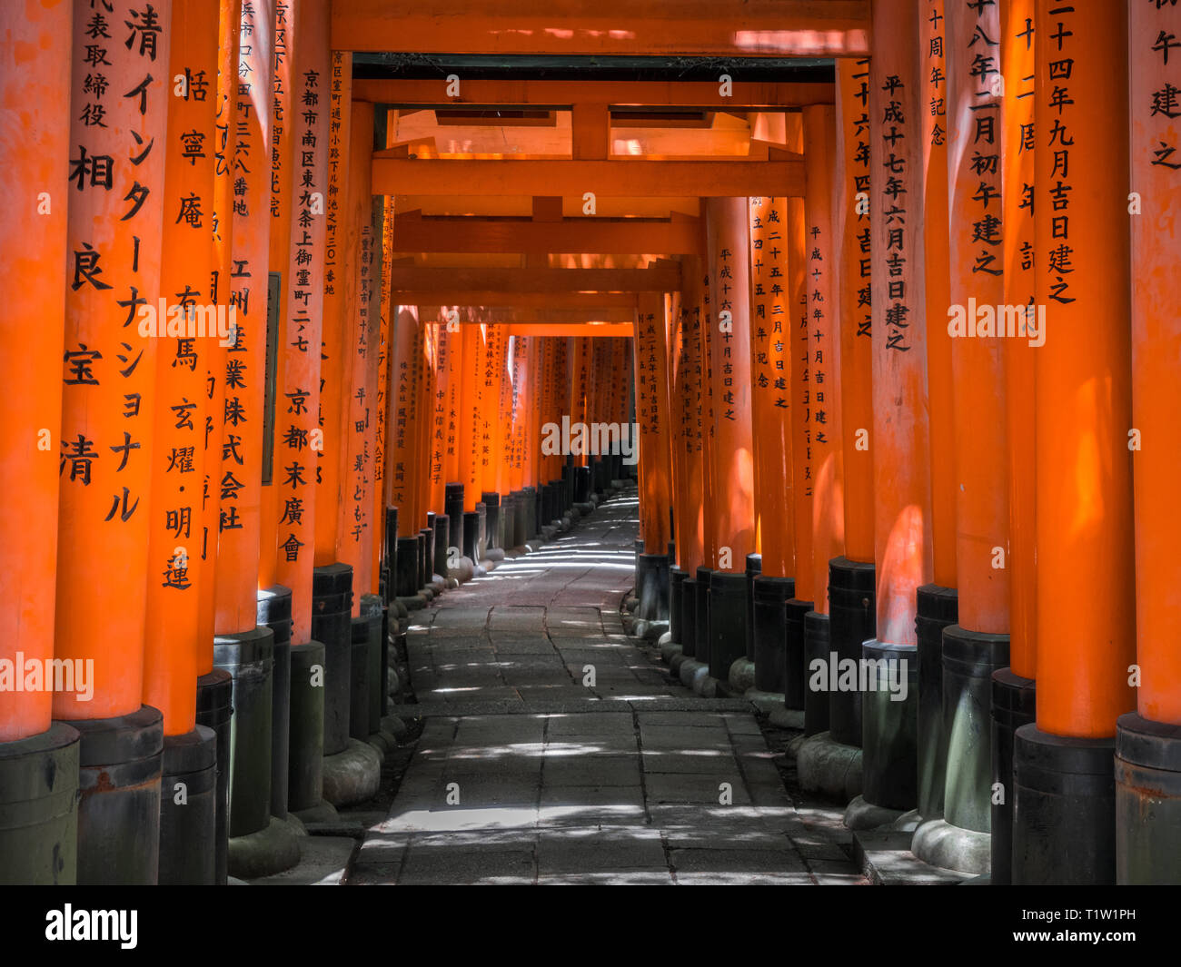 Fushimi Inari Taisha Senbontorii gates a Kyoto, Giappone Foto Stock