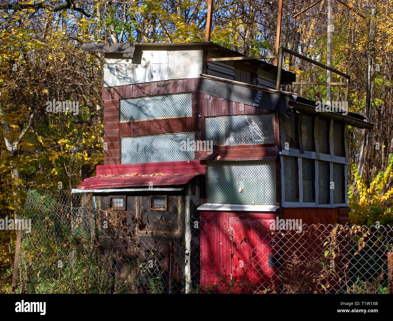 Poco colombaia nel Parco in autunno, Mosca Foto Stock