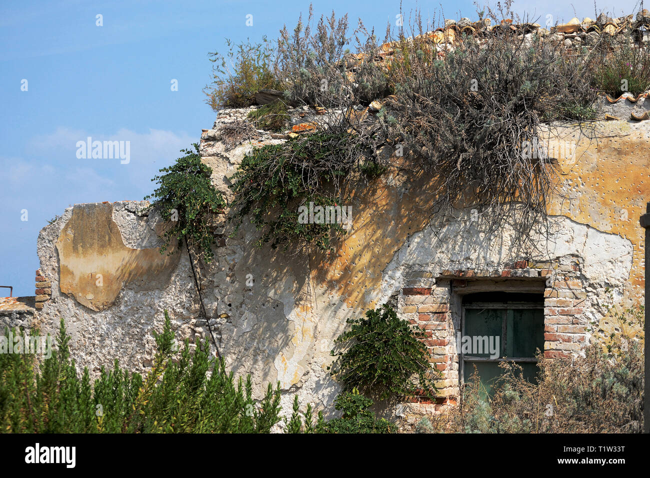 Ritratto di edificio abbandonato sotto il sole estivo raggi Foto Stock