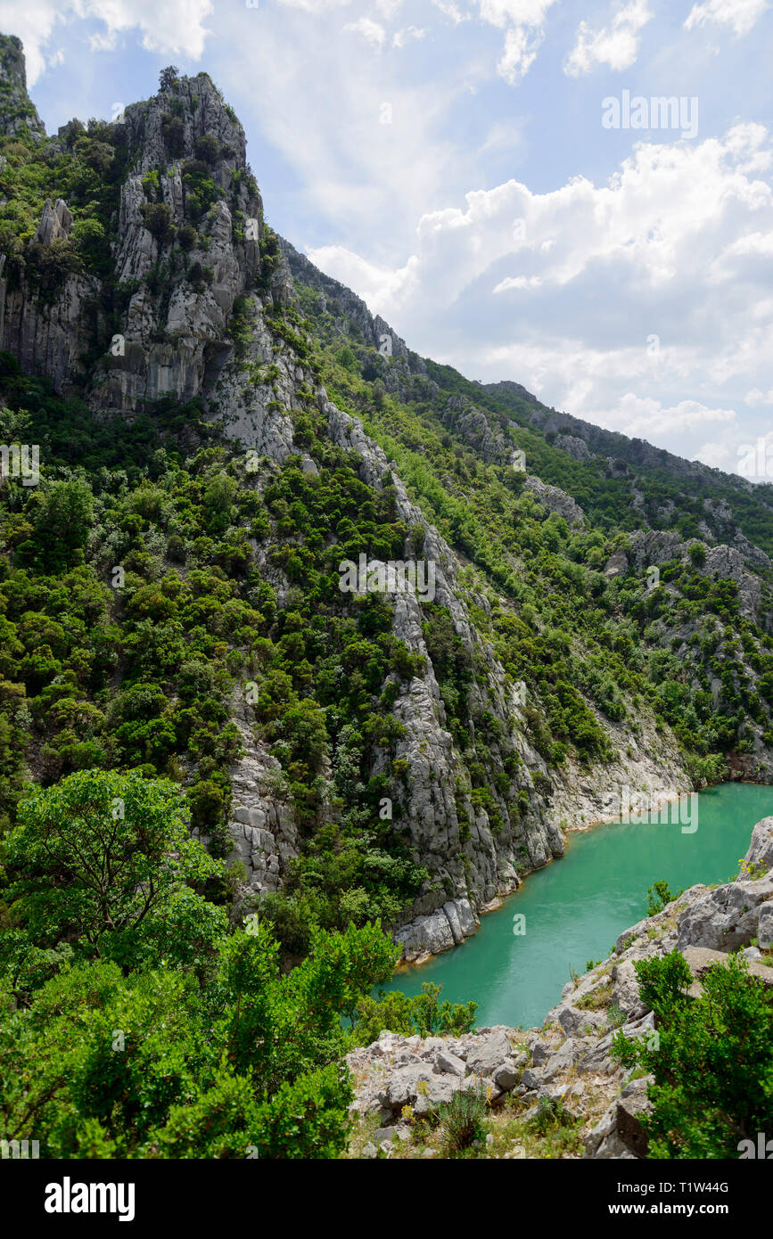 Tappetino di fiume, la gola di roccia, Ulza Parco Naturale Regionale, Albania, Mati Foto Stock