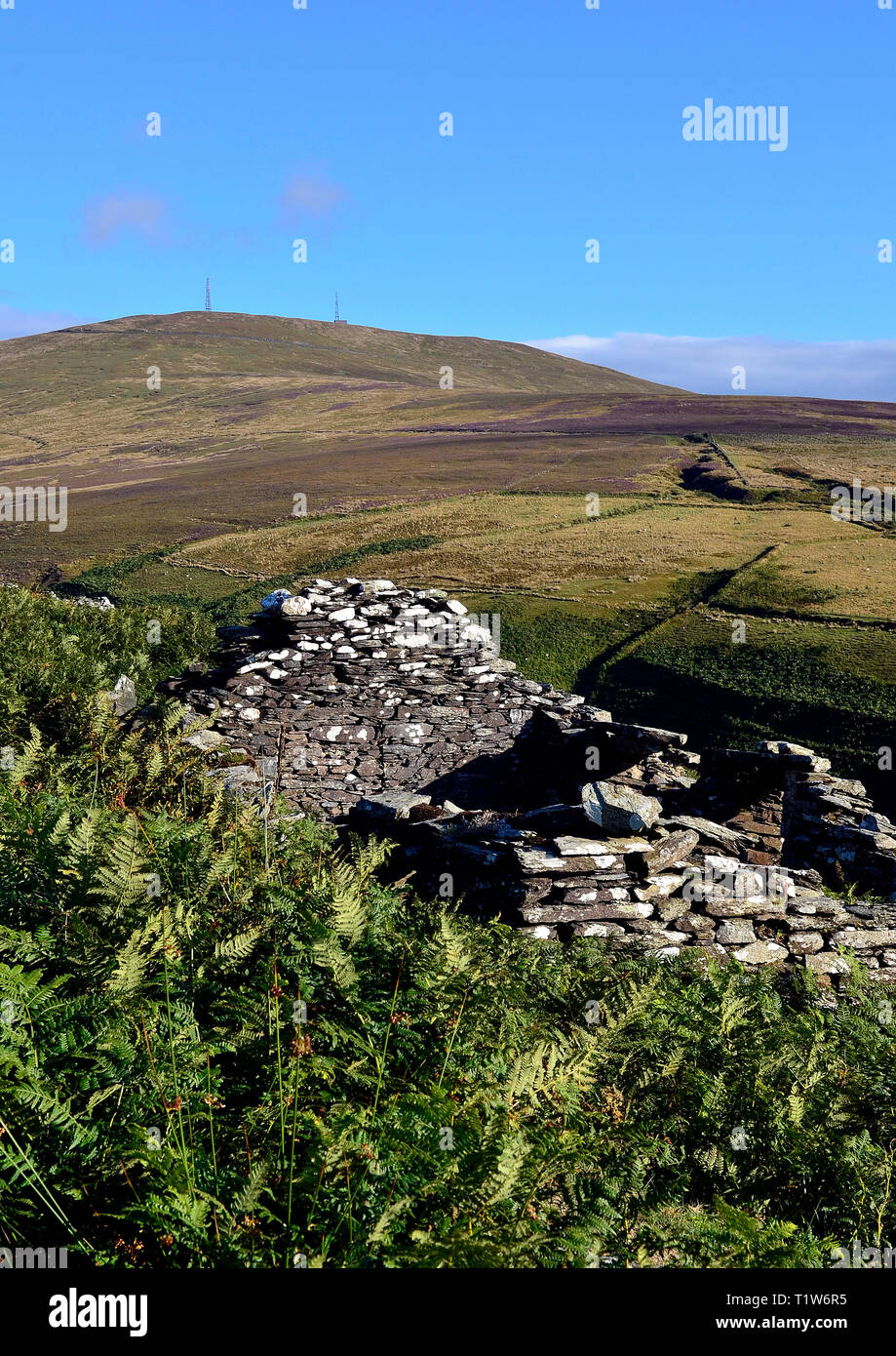 Vista da Manx Tholtan (rovina di cottage in pietra) verso Snaefell Foto Stock