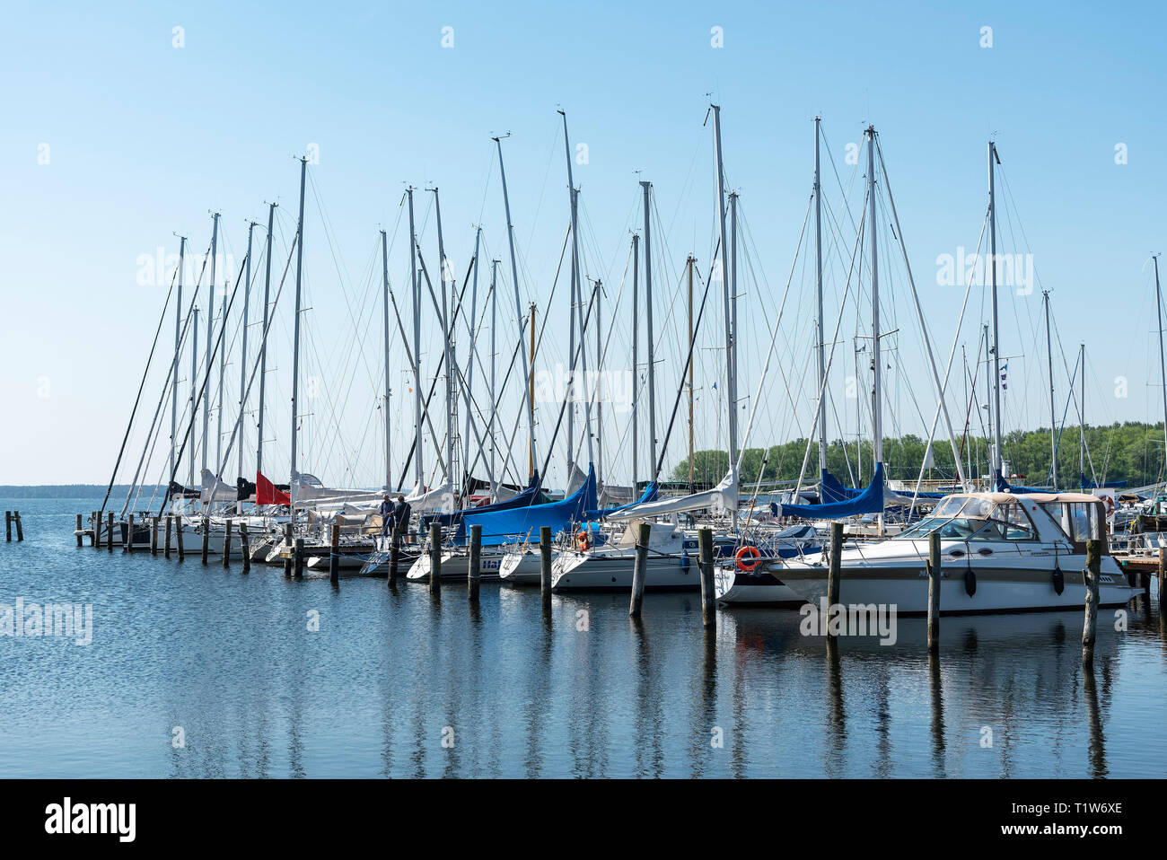 Porto, Rerik, Baltico località balneare, Meclemburgo-Pomerania, Germania Foto Stock