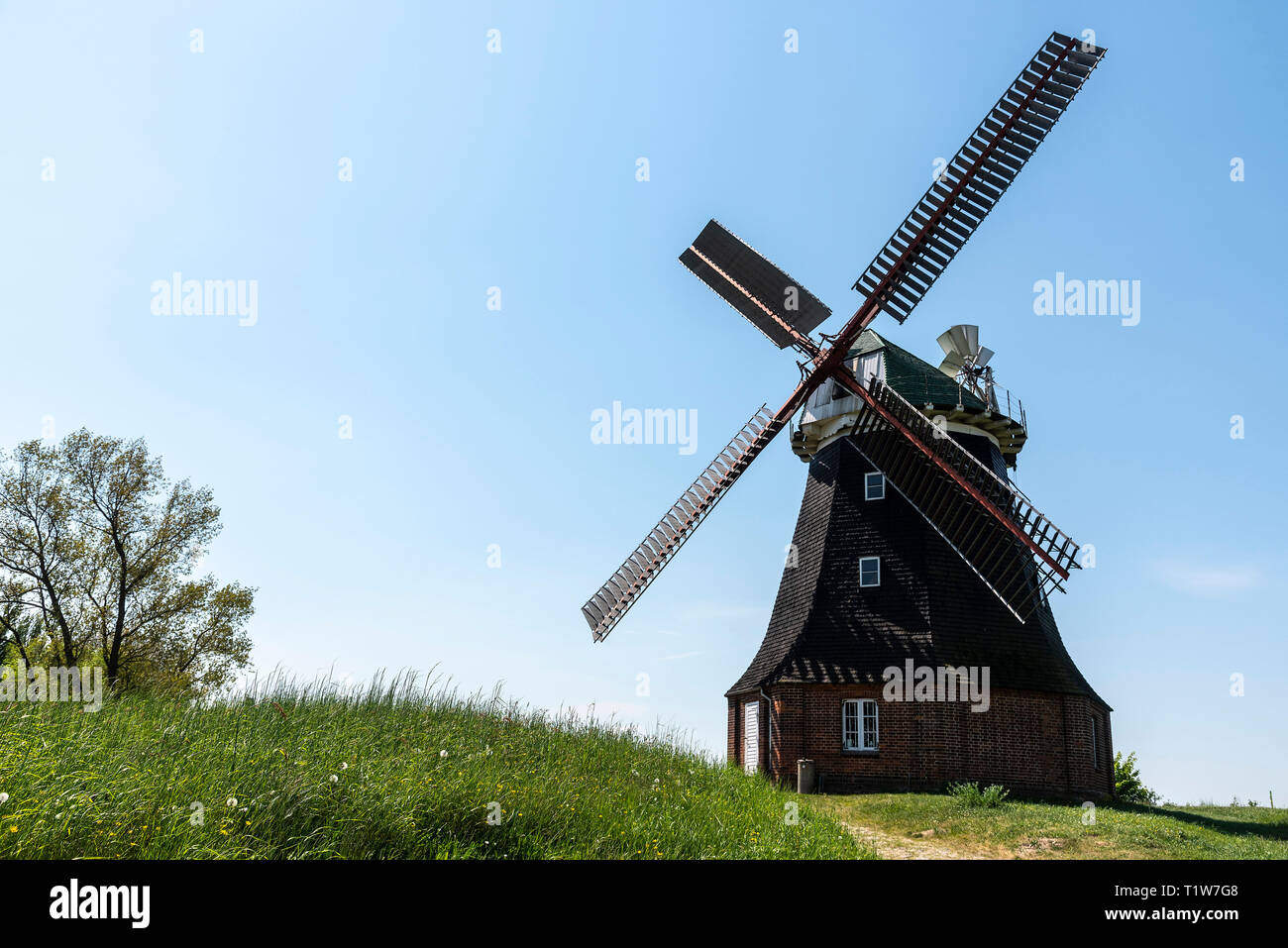 Mulino a vento olandese, stufa, Boiensdorf, Salzhaff Am, Meclemburgo-Pomerania, Germania Foto Stock