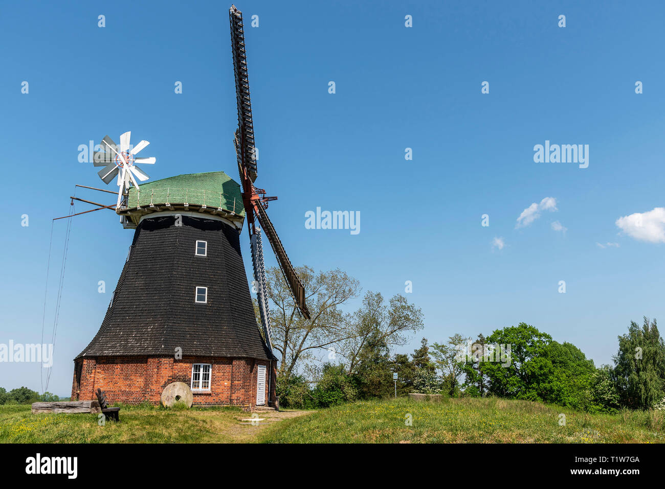 Mulino a vento olandese, stufa, Boiensdorf, Salzhaff Am, Meclemburgo-Pomerania, Germania Foto Stock