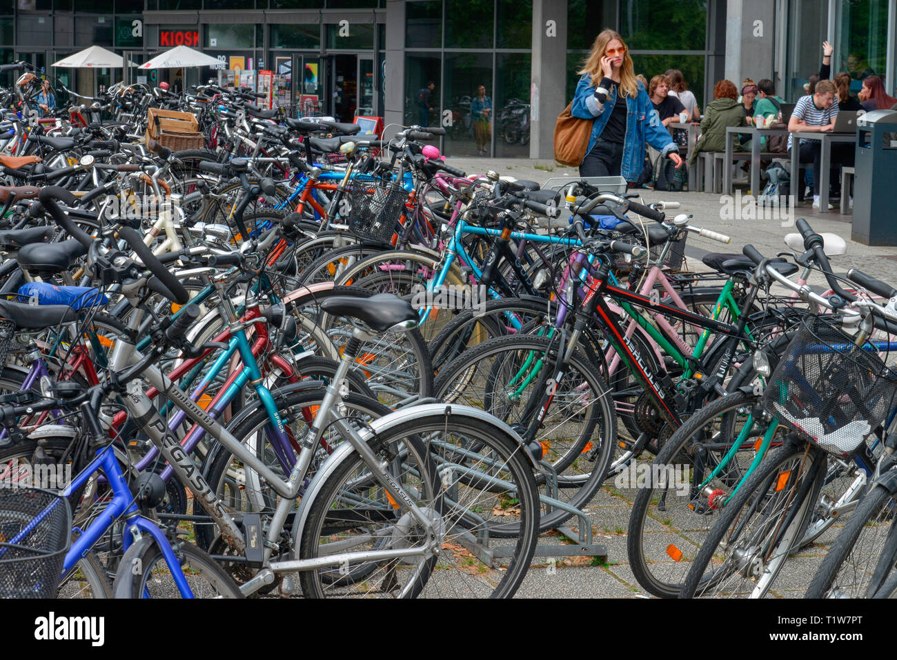 Fahrraeder, Universitaet zu Koeln, Albertus-Magnus-Platz, Lindenthal, Koeln, Nordrhein-Westfalen, Deutschland Foto Stock