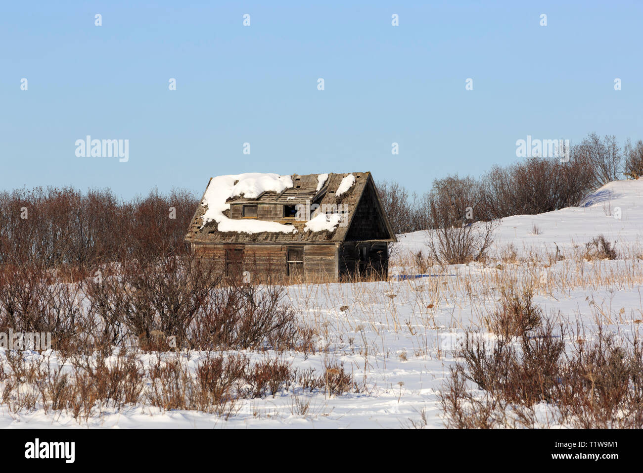 Ninilchik. Rovine di un Log Cabin al di sopra del villaggio storico. Foto Stock