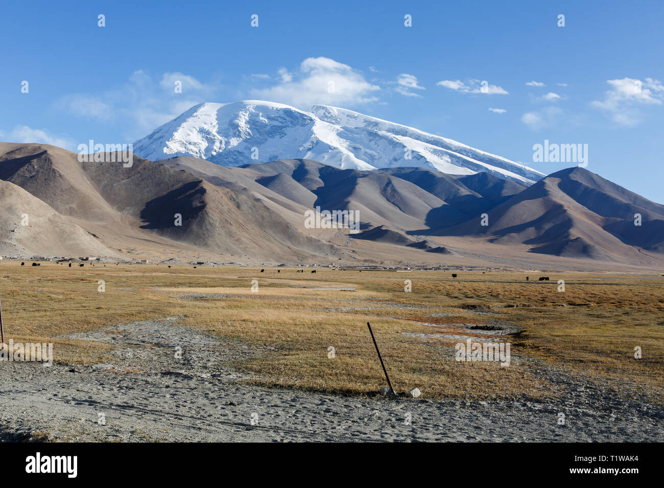 Muztagh Ata montagna, catturato vicino al Lago Karakul (Karakoram Highway, Xinjiang, Cina) Foto Stock