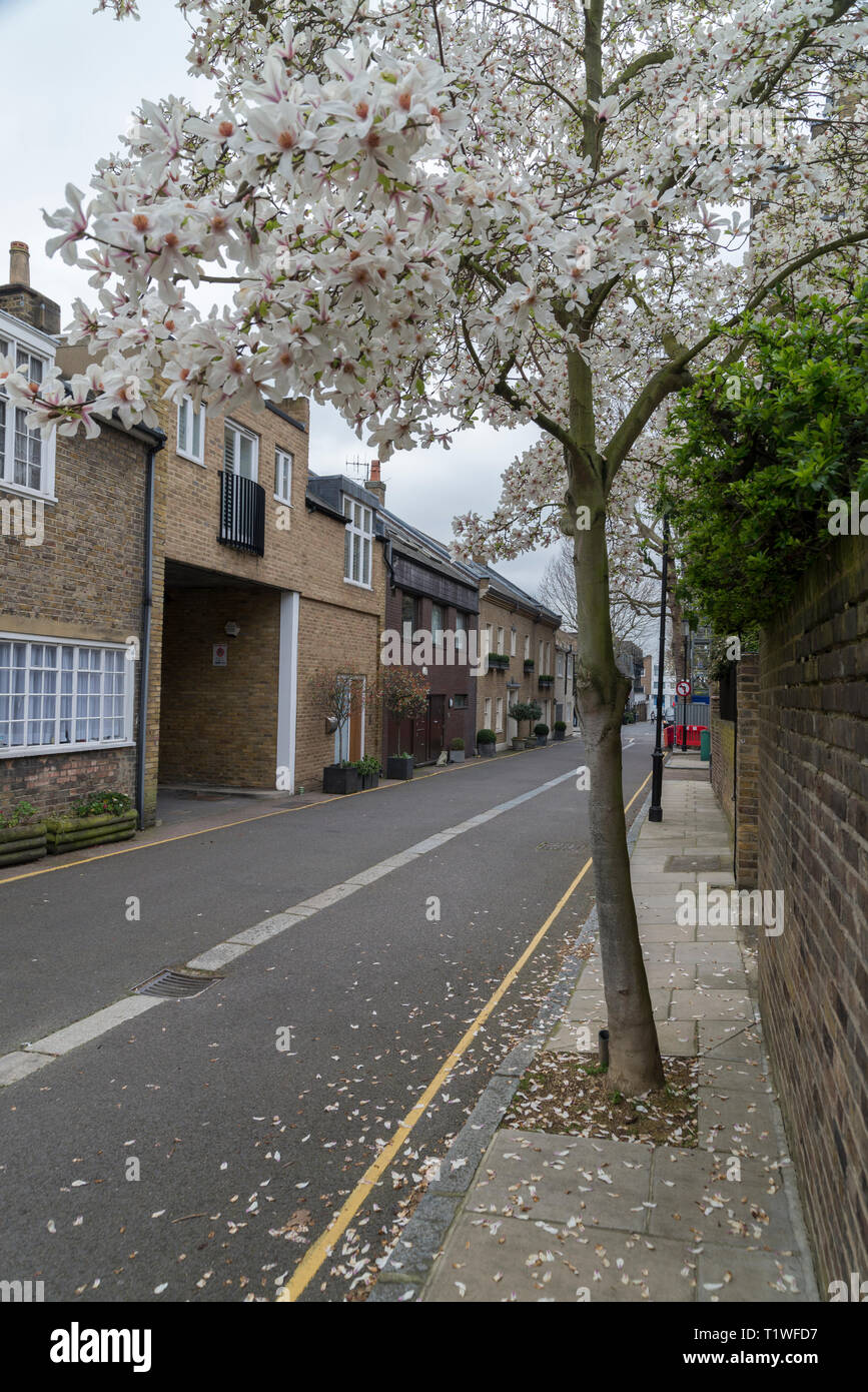 Mew le case, London, Regno Unito Foto Stock