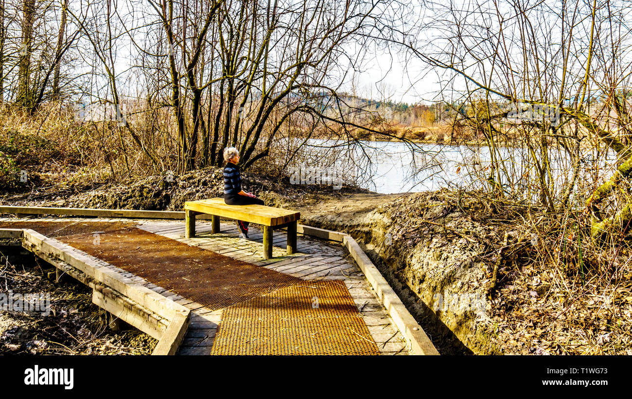 Senior donna appoggiata su di un sentiero escursionistico dalla barra di pioppo a due bit Bar in Glen Valley Regional Park vicino a Fort Langley in British Columbia, Canada Foto Stock