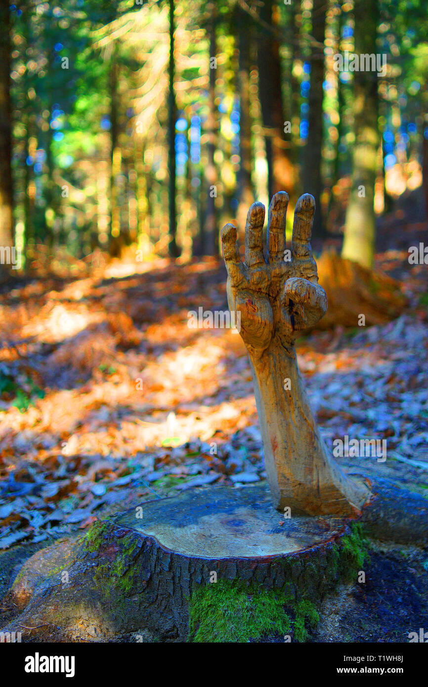 Messaggio ambientale - a mano in legno nel mezzo della foresta è il pianto per aiutare. Foto Stock