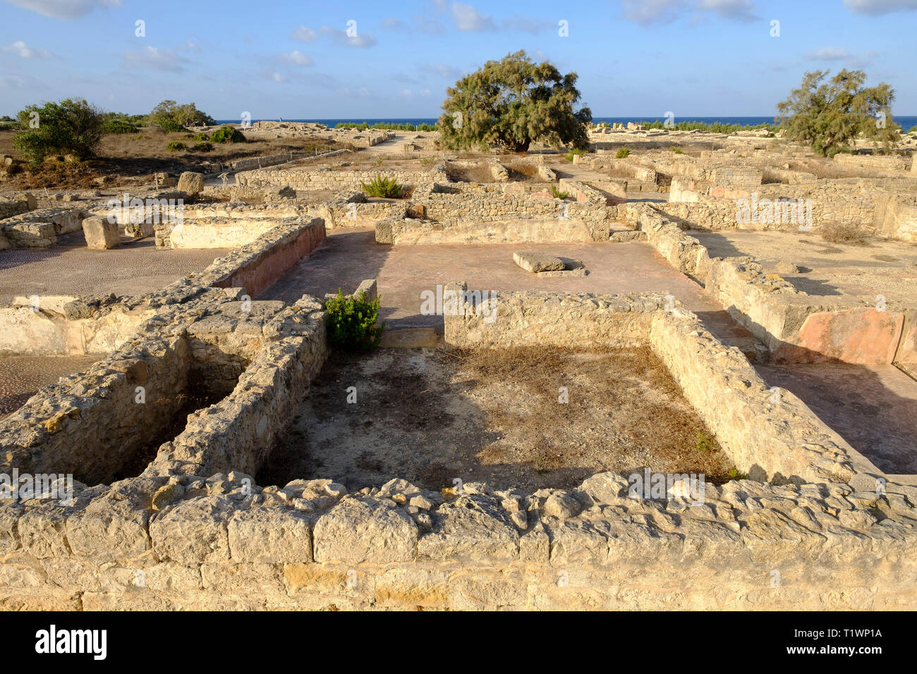 Sito della città punica di Kerkouane (o di Kerkuane), Tunisia Foto Stock