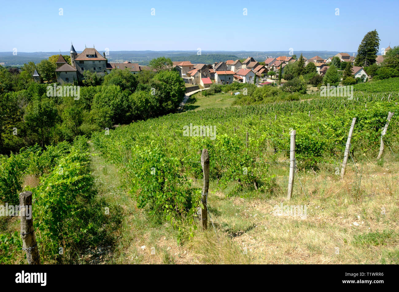 Montagnieu (Francia orientale): il villaggio e i suoi vigneti.Caption locale *** Foto Stock