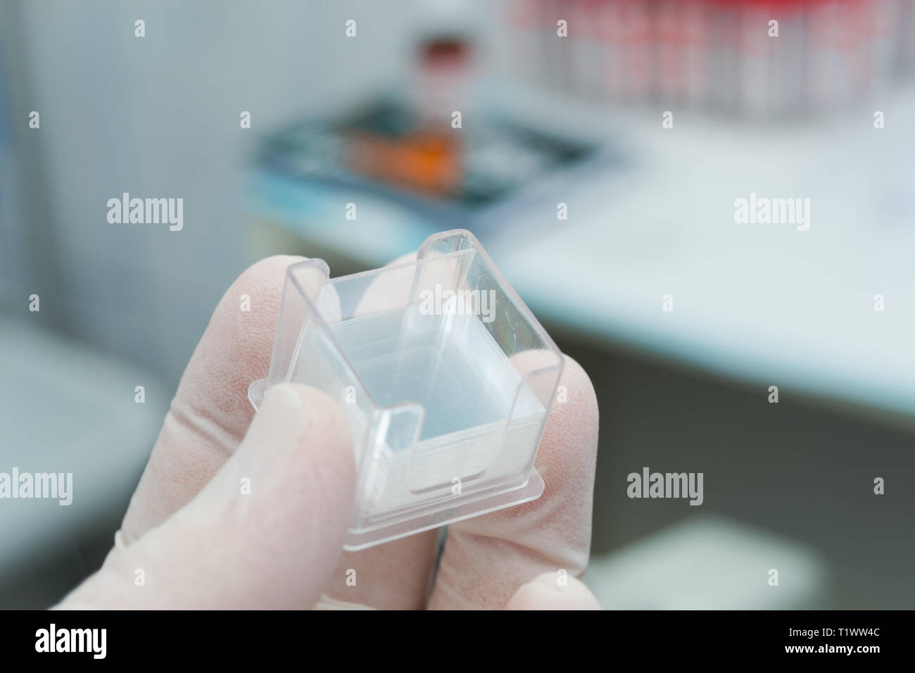 Lavoratore di laboratorio tenendo in mano una scatola di plastica con microscopiche ciglia Foto Stock