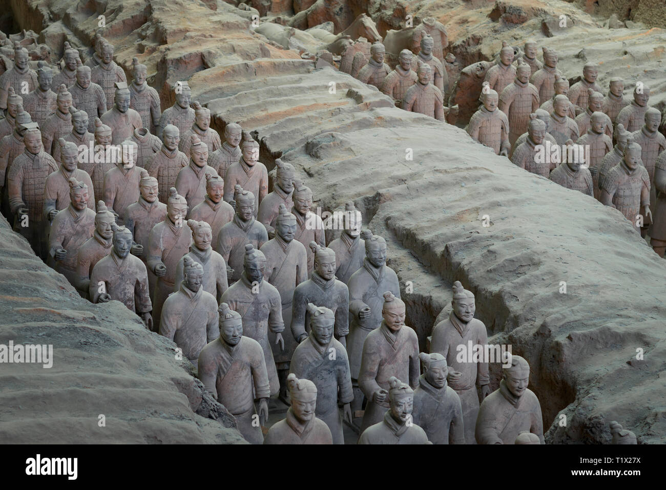 Alcuni soldati di terracotta dell'Esercito di Terracotta, parte del Mausoleo del primo imperatore di Qin e un Sito Patrimonio Mondiale dell'UNESCO in Xian, Shaanxi, Chi Foto Stock