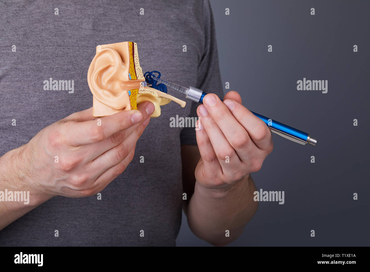 Uomo di contenimento e dispositivo di puntamento con otoscopio medica sul modello dell'orecchio interno umano. Modello di orecchio. Un modello dell'orecchio per la scienza elementare classi. Foto Stock