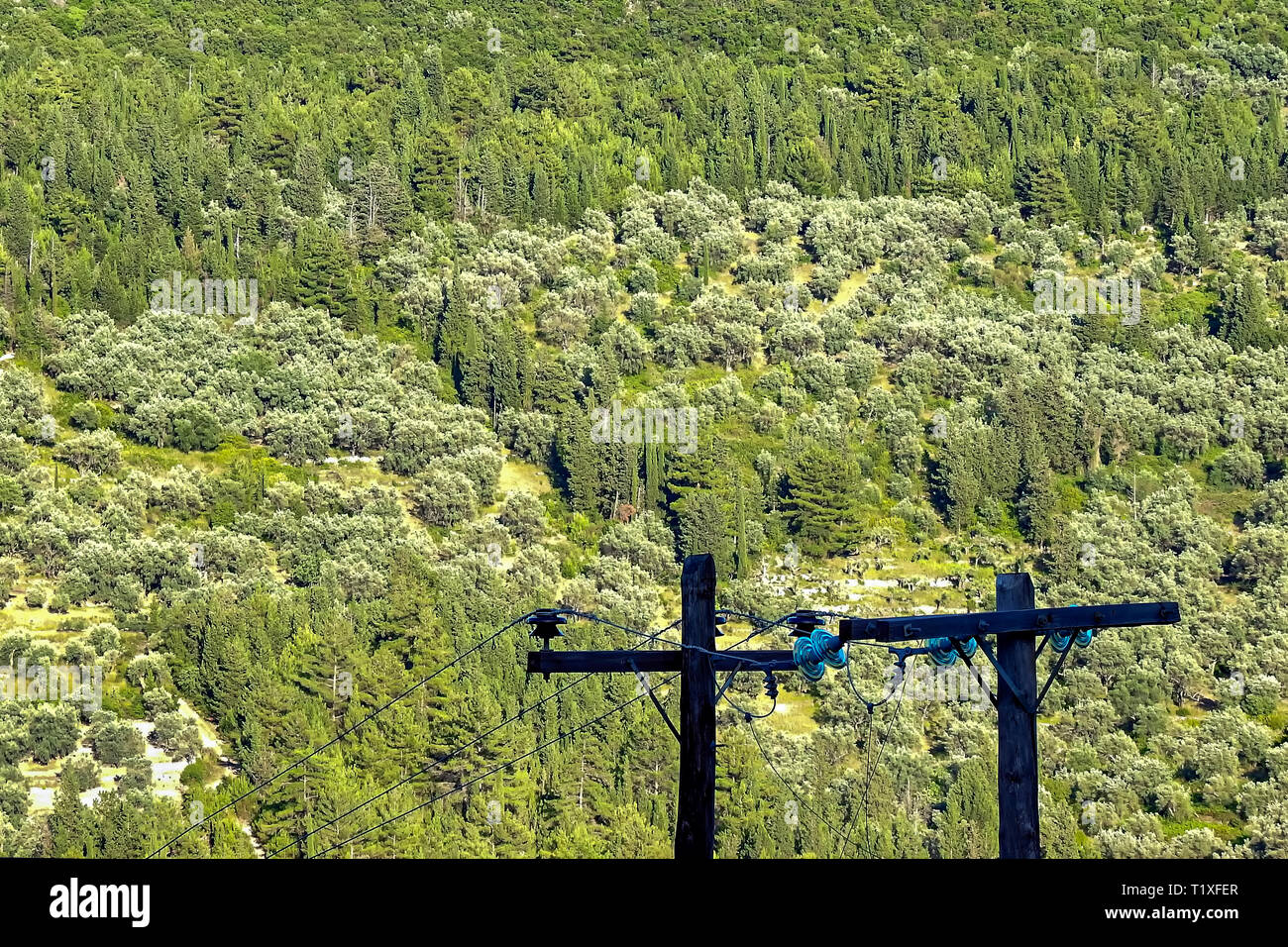 Poli di potenza contro lo sfondo di colore verde Foto Stock