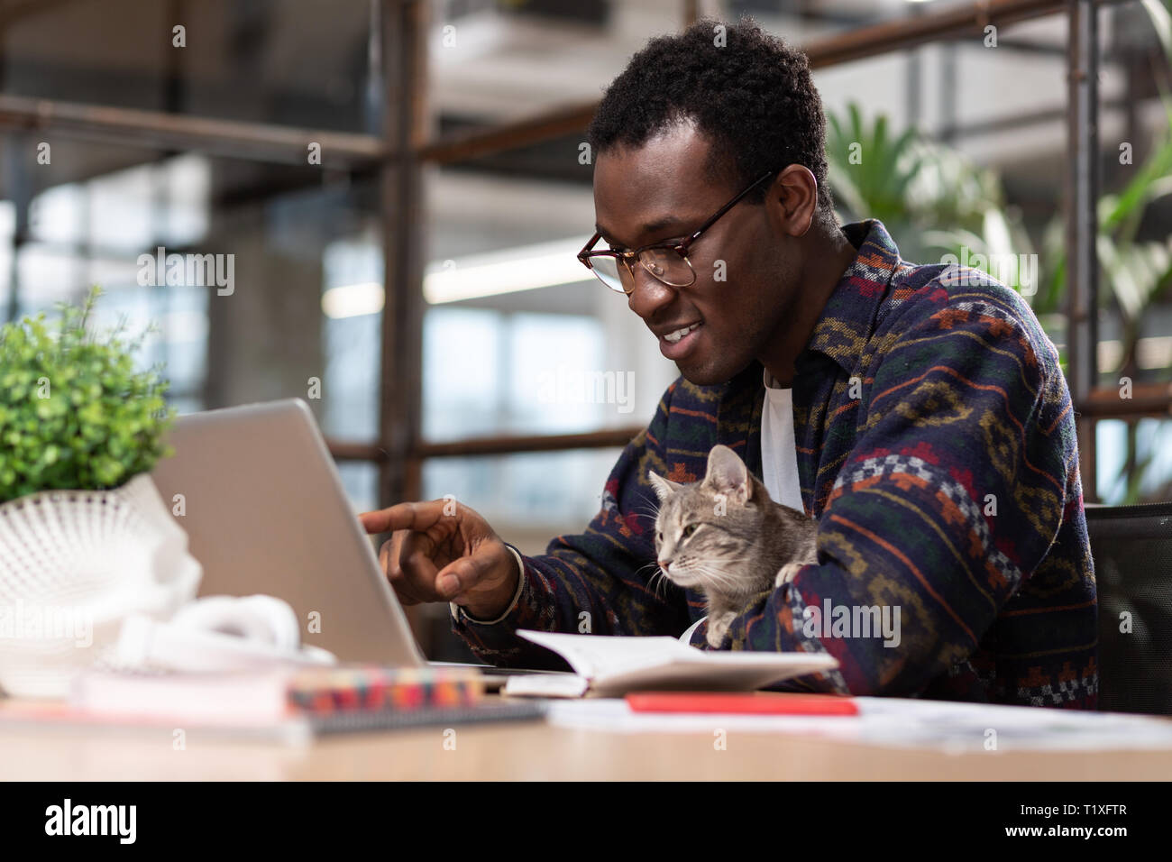 Uomo che lavora insieme con il suo gatto grigio Foto Stock