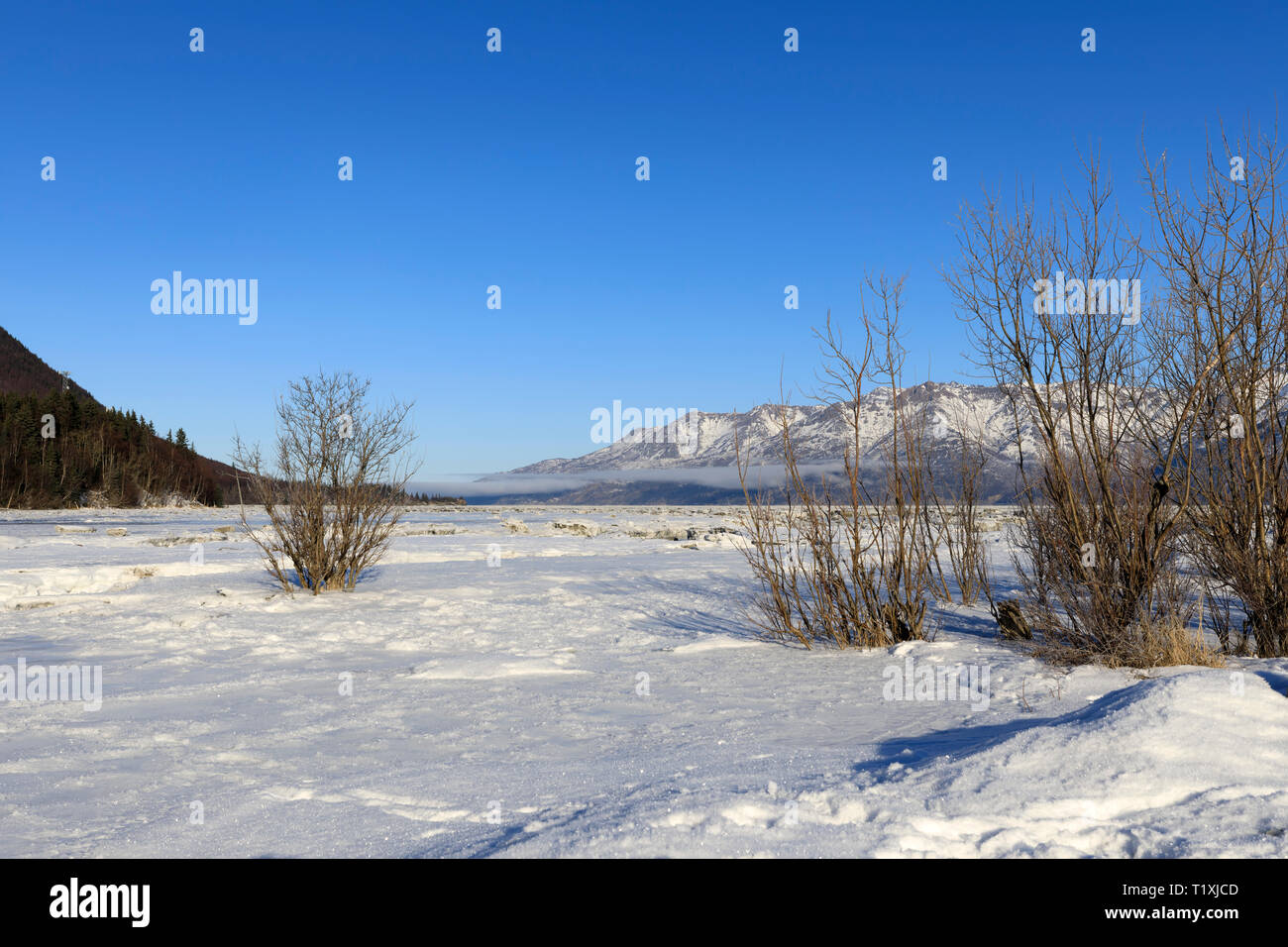 Turnagain Arm e Chugach Range da speranza, Alaska Foto Stock