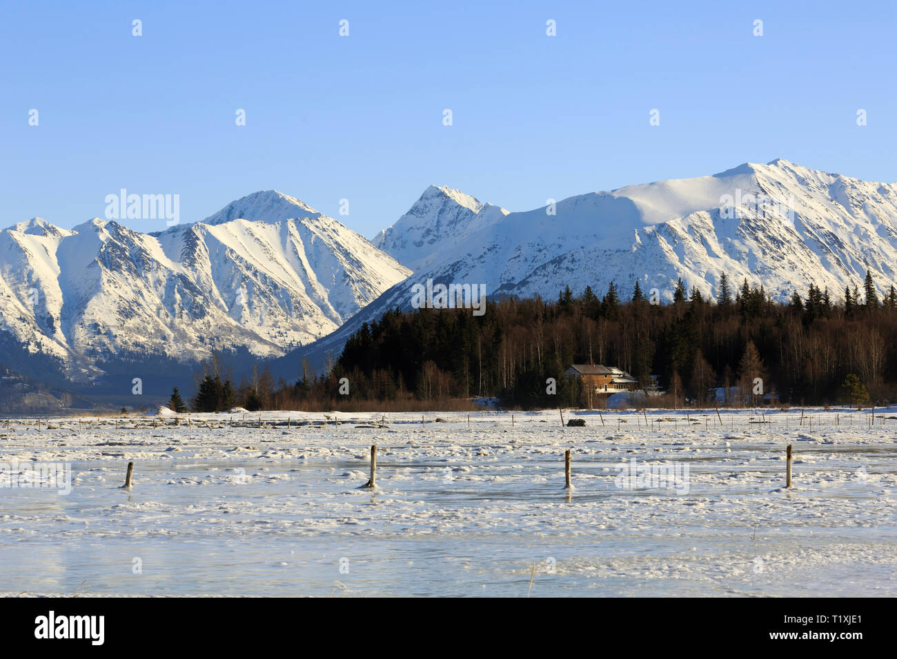 Turnagain Arm e Chugach Range da speranza, Alaska Foto Stock