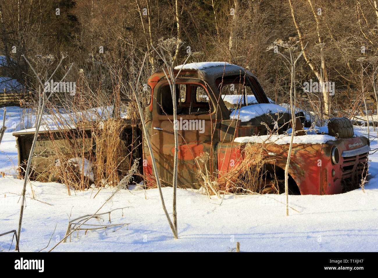 Vecchio carrello, Speranza, Alaska Foto Stock