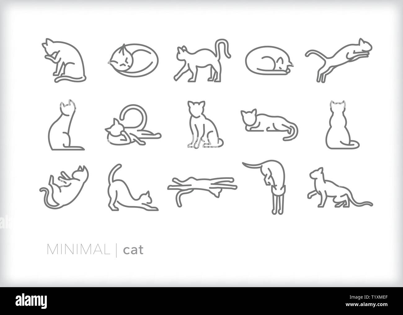 Set di 15 cat le icone della linea dei gatti animali domestici in pose diverse di relax e attività Illustrazione Vettoriale