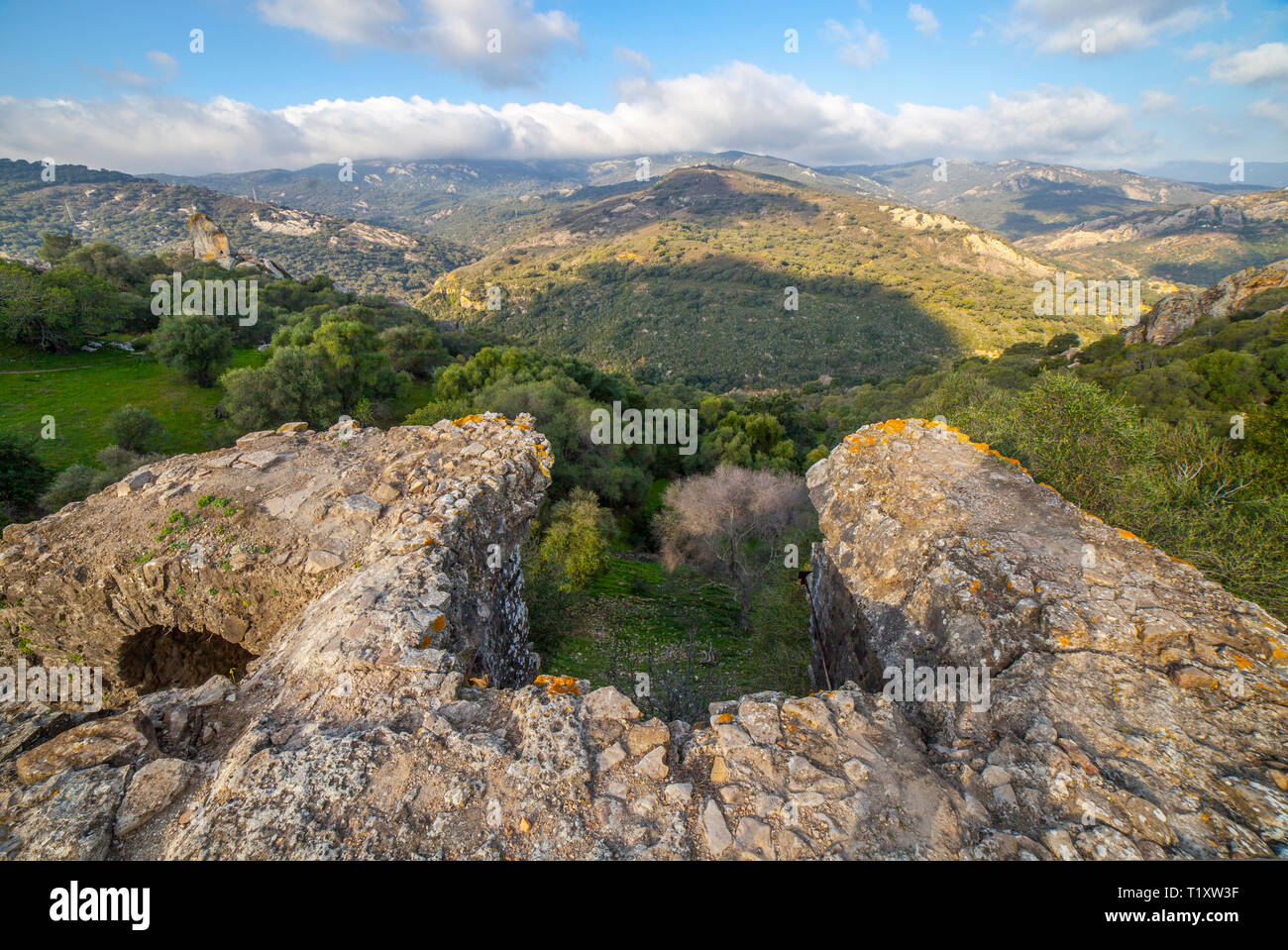 Splendida area naturale di Los Alcornocales Riserva Naturale. Vista da Jimena de la Frontera rovine del castello Foto Stock