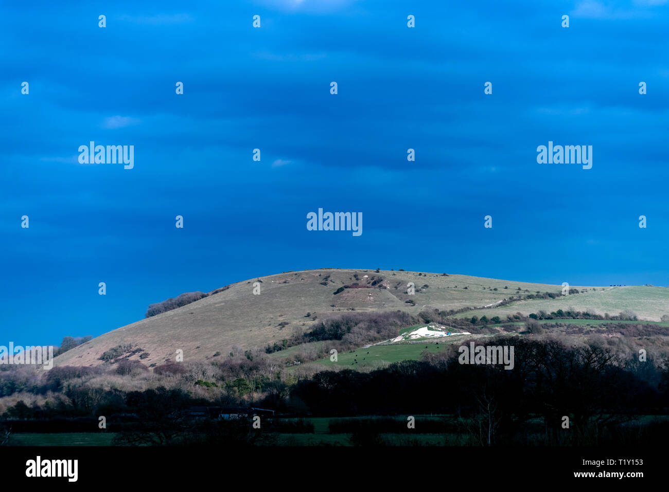 Wolstonbury Hill in East Sussex Foto Stock