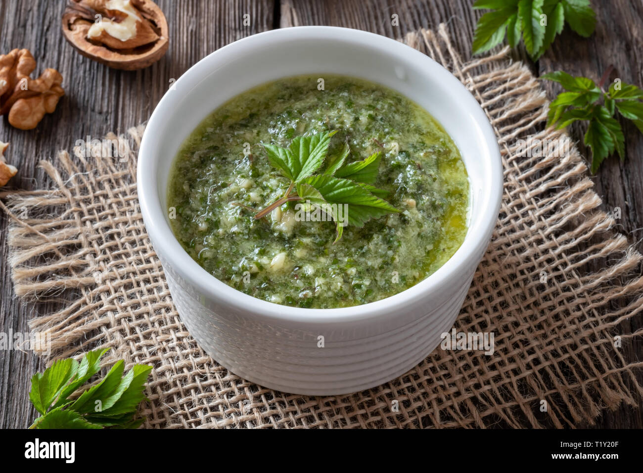 Pesto realizzato da giovani di massa di foglie di sambuco e noci Foto Stock