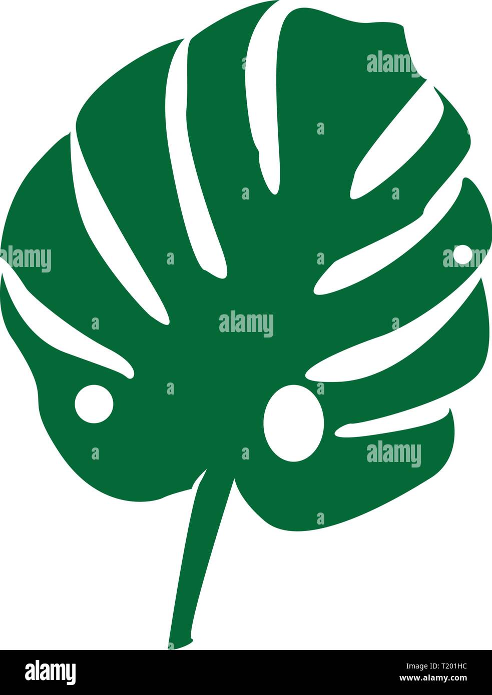 Vettore. Pianta tropicale monstera isolati su sfondo bianco Illustrazione Vettoriale