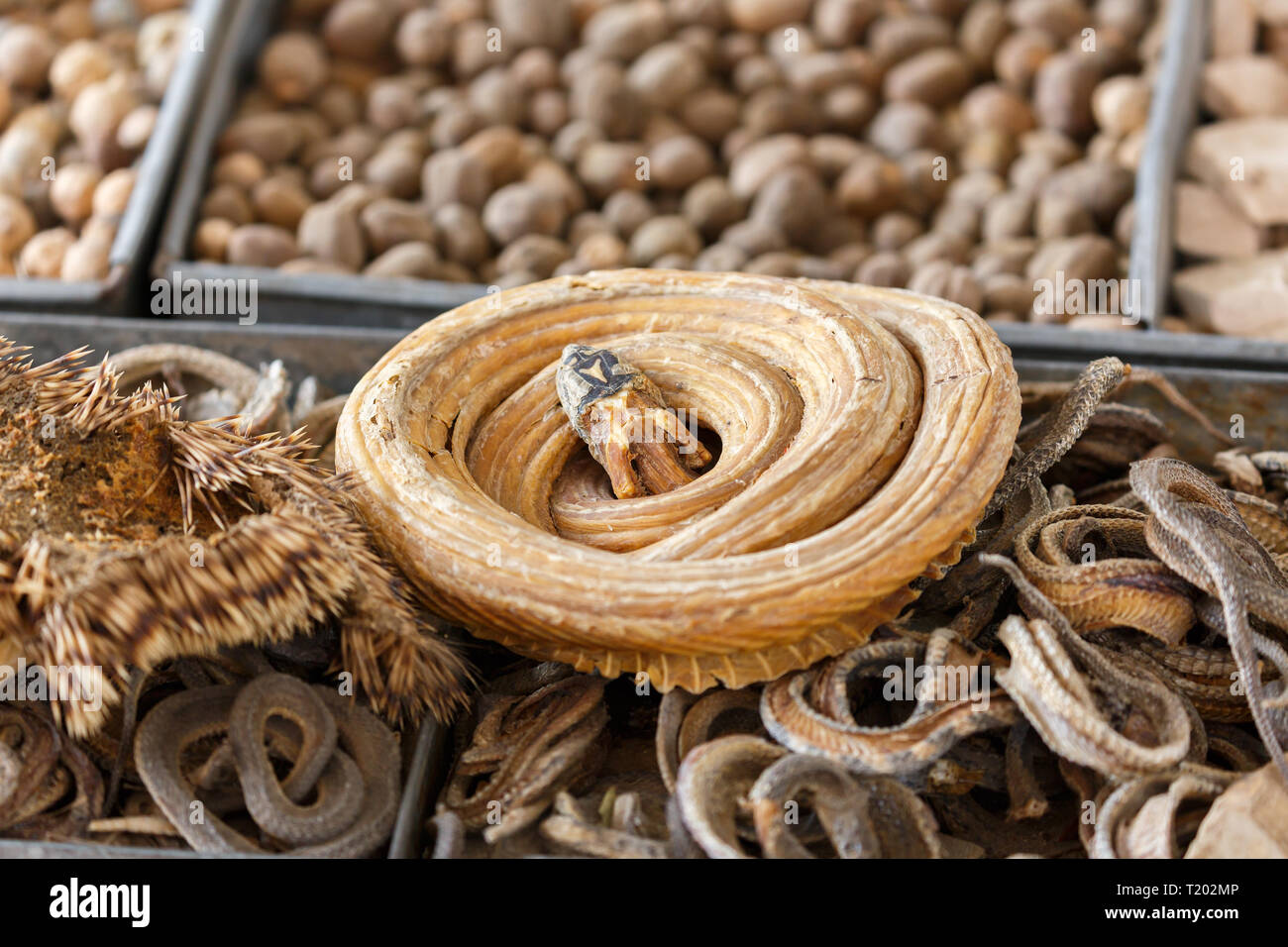 Serpente essiccato per la vendita, catturato in un mercato di Kashgar (provincia dello Xinjiang, Cina) Foto Stock