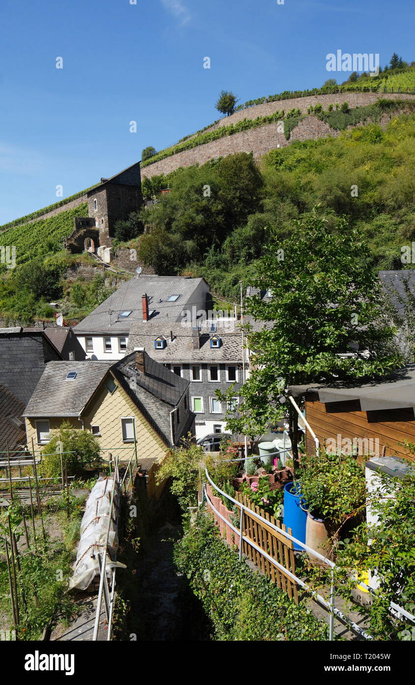 Alte Häuser, Weinberg, Kaub, Unesco Weltkulturerbe Oberes Mittelrheintal Renania-Palatinato, Deutschland Foto Stock