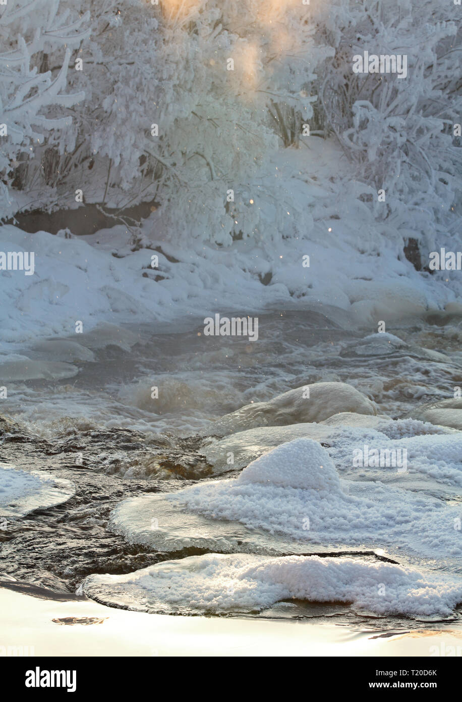 Il fiume scorre attraverso il rapido su una fredda giornata di gennaio . L'aria è piena di umidità congelata Foto Stock