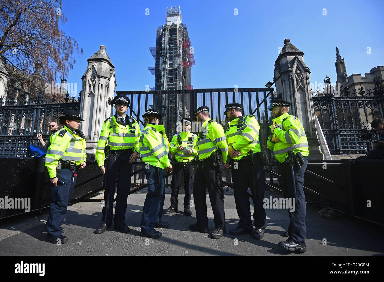 La polizia ha portato a rogna sarcoptica Brexit manifestanti al di fuori di Westminster, Londra, come MPs sono chiamati ad esaminare e votare su una mozione del governo sul ritiro dell'UE il venerdì sera. Foto Stock