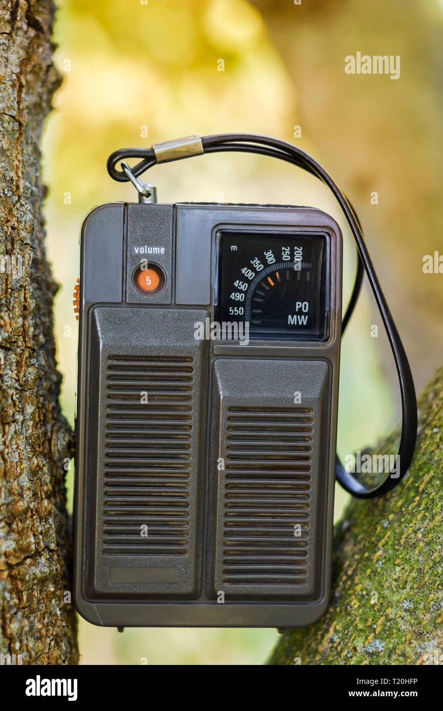 Un piccolo portatile palmare vintage transistor radio bloccati su un albero in natura. Foto Stock