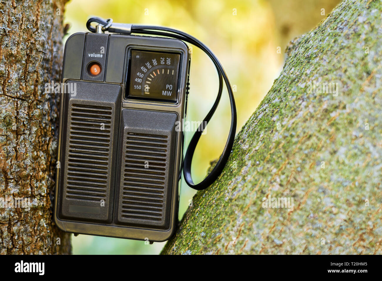 Un piccolo portatile palmare vintage transistor radio bloccati su un albero in natura. Foto Stock