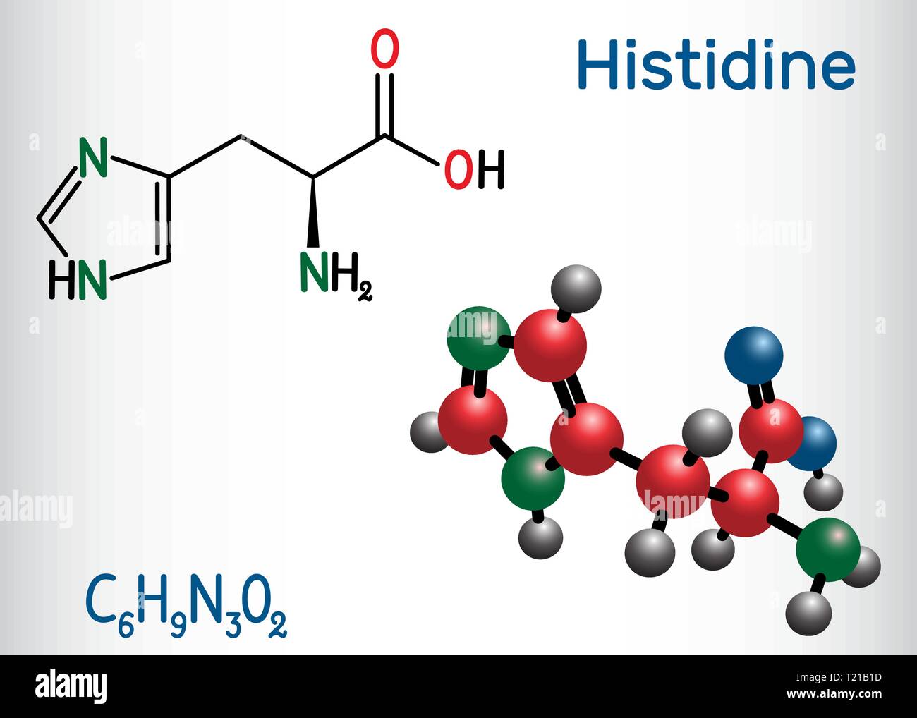 Istidina (L- istidina , il suo, H) aminoacido molecola. Esso viene utilizzato nella biosintesi delle proteine. Formula chimica di struttura e la molecola modello. Vec Illustrazione Vettoriale