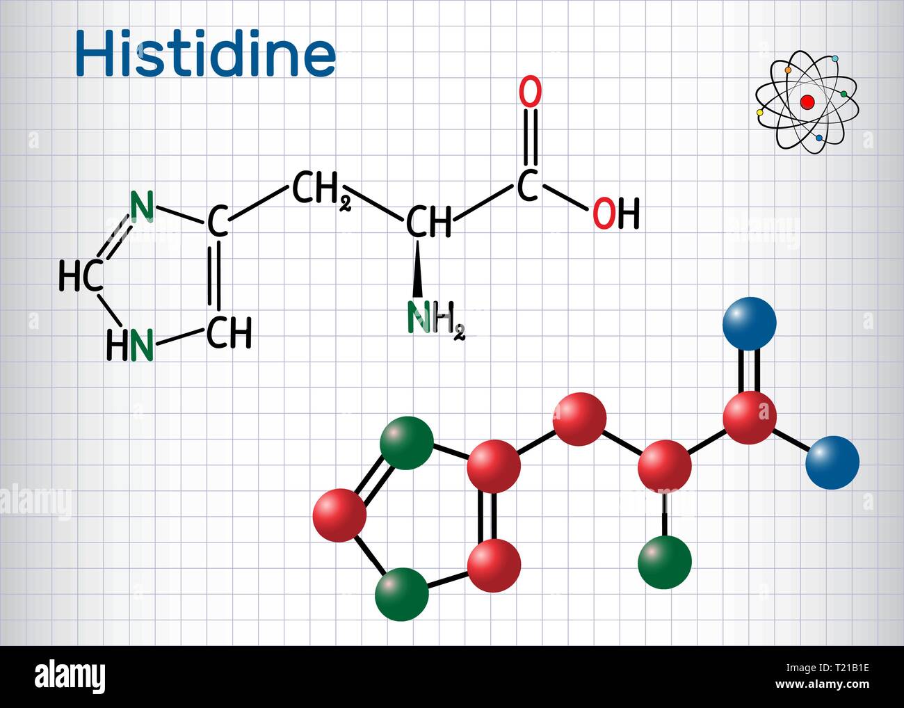 Istidina (L- istidina , il suo, H) aminoacido molecola. Esso viene utilizzato nella biosintesi delle proteine. Foglio di carta in una gabbia. Strutturale di formulazione chimica Illustrazione Vettoriale