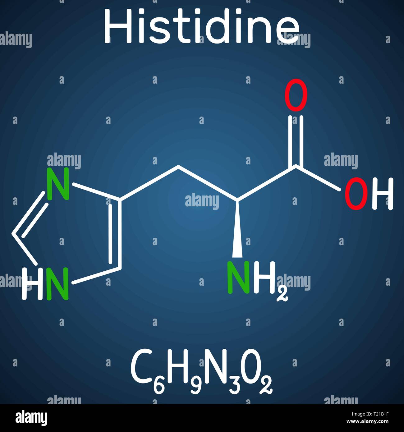 Istidina (L- istidina, il suo, H) aminoacido molecola. Esso viene utilizzato nella biosintesi delle proteine. Formula chimica di struttura sul blu scuro backgro Illustrazione Vettoriale