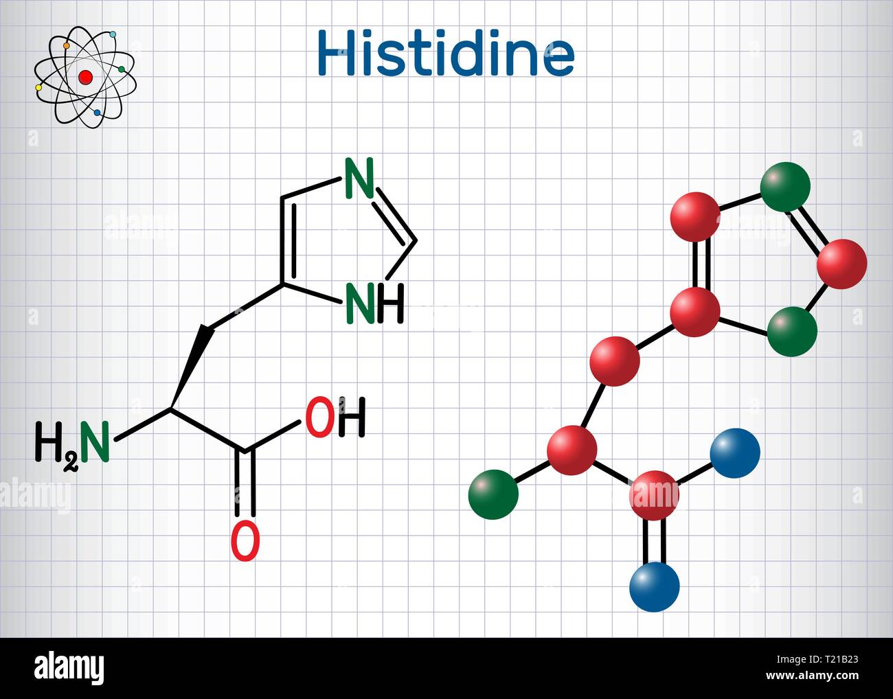 Istidina (L- istidina , il suo, H) aminoacido molecola. Esso viene utilizzato nella biosintesi delle proteine. Foglio di carta in una gabbia. Strutturale di formulazione chimica Illustrazione Vettoriale