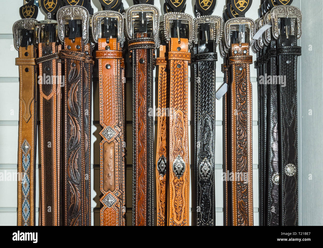 Interno della Wild Wild Western usura negozio specializzato in Farnborough, Hampshire, Regno Unito. Visualizzazione delle cinghie di cowboy in vendita. Foto Stock