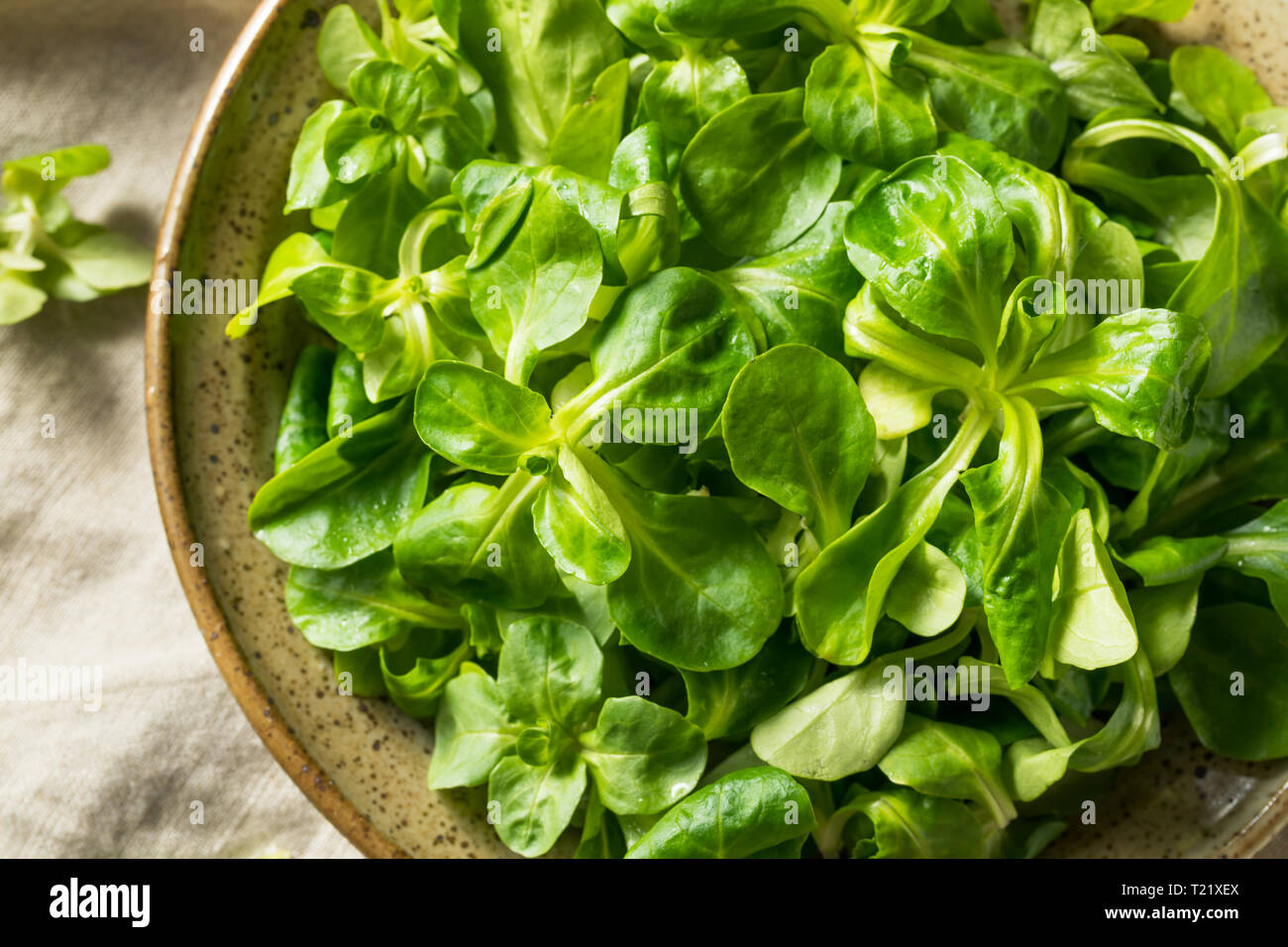 Materie organiche verde Mache rosette in una ciotola Foto Stock