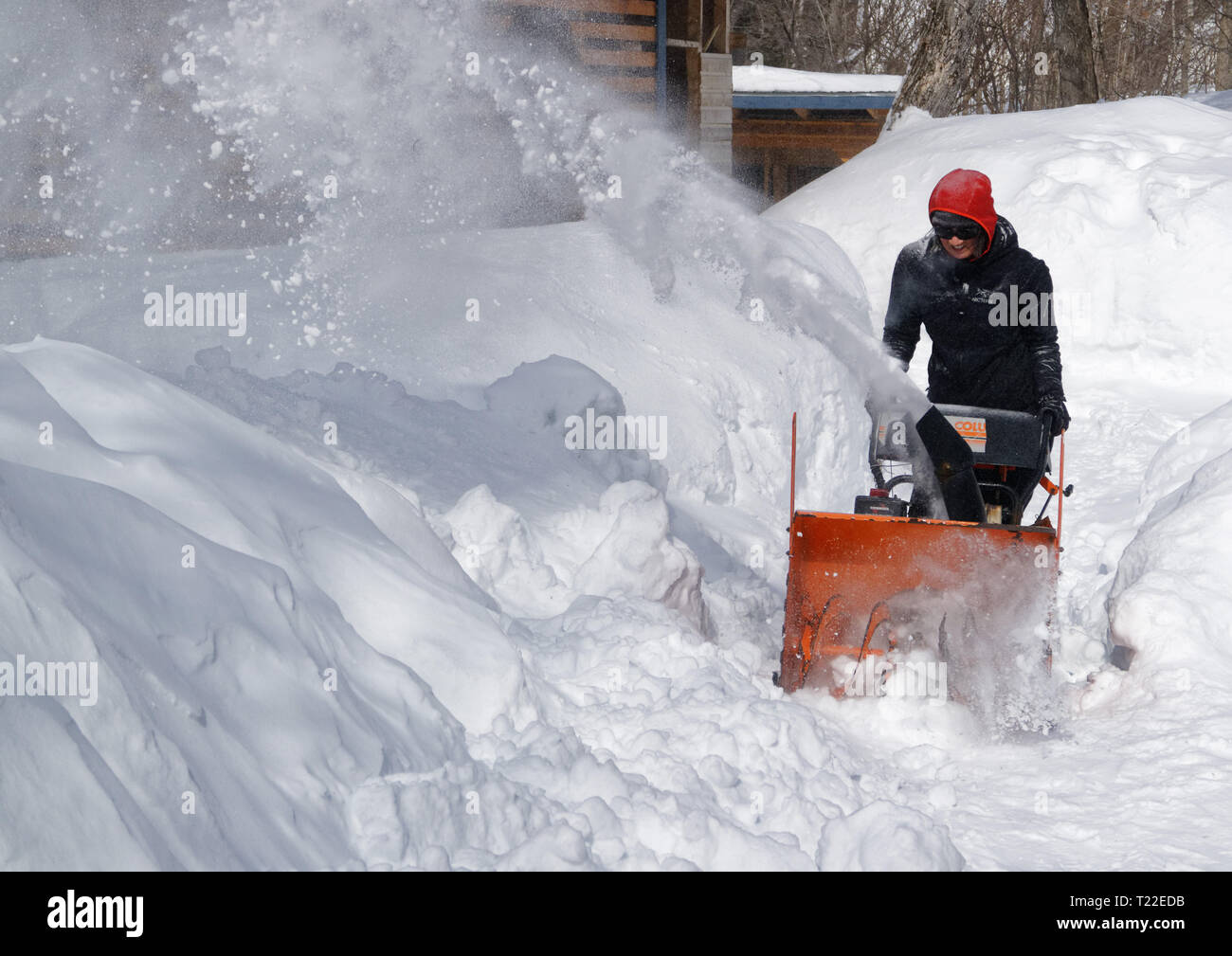 Una donna con un ventilatore di neve per cancellare la neve dal suo giardino in Quebec. Inverno 2018-2019 visto molto forte nevicata. Foto Stock