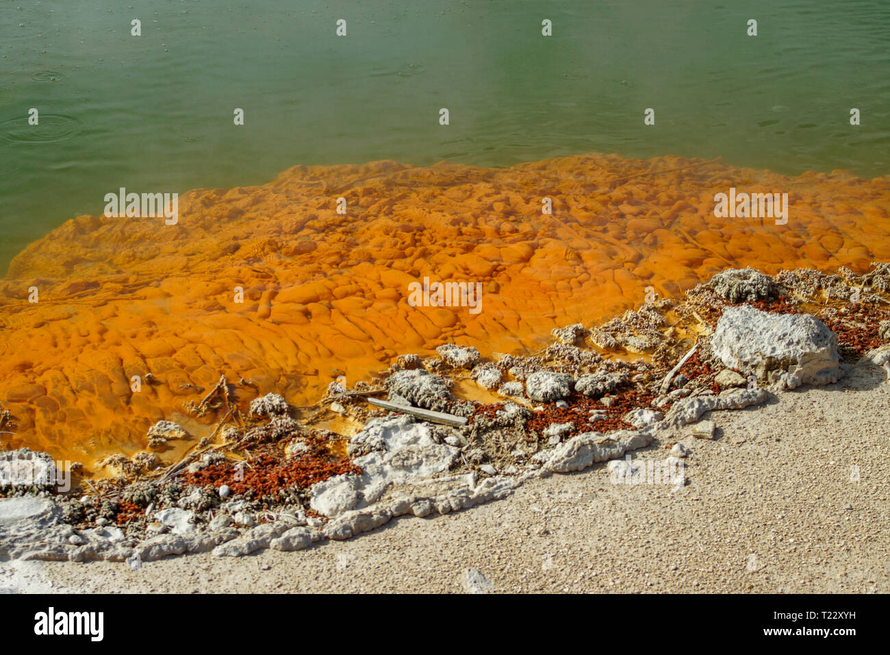 Nuova Zelanda, Rotorua, Wai-O-Tapu, Pool di Champagne Foto Stock